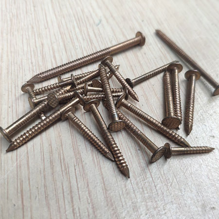 Ring Nails - D1 Ring Nails - D1